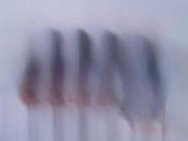 Setovi ručnog alata: Set od 6 šrafcigera – krstasti i ravni Sadržaj seta (dimenzije — 8