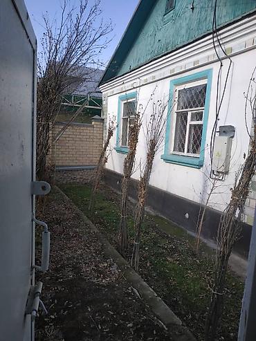 Долгосрочная аренда домов: 50 м², 3 комнаты — 15