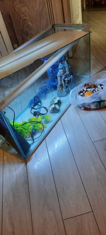 Akvarium, əla vəziyyətdədir. içərsində filtir, qızdırıcı