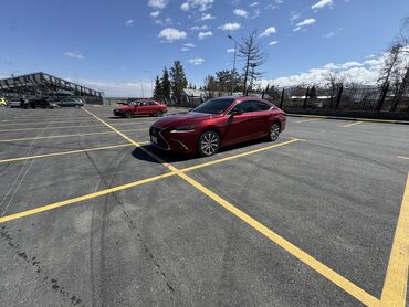 Lexus: Lexus ES: 2021 г., 2.5 л, Автомат, Бензин, Седан — 13