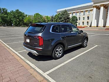 Kia Telluride: 2019 г., 3.8 л, Автомат, Бензин, Кроссовер
