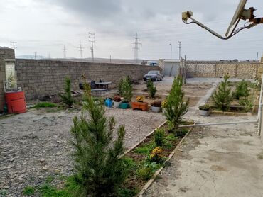 Həyət evləri və villaların satışı: 2 otaqlı, 80 kv. m, Kredit yoxdur, Yeni təmirli -da lalafo.az — 11 Həyət evləri və villaların satışı: 2 otaqlı, 80 kv. m, Kredit yoxdur, Yeni təmirli — 11