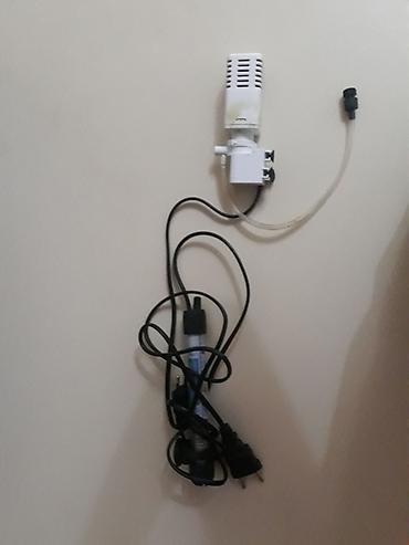 baliq unu satilir: -Əlaqə üçün dm və ya 0557583200- +5 balıq +Termometr +Güclü led işıq — 5
