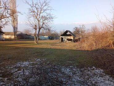 Torpaq sahələrinin satışı: 20 sot, Tikinti, Mülkiyyətçi, Kupça (Çıxarış) — 22