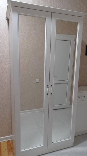güzgülü şkaf: Düz dolab, Dəhliz üçün, Qarderob, Açılan, Quraşdırıla bilən, 2 qapılı