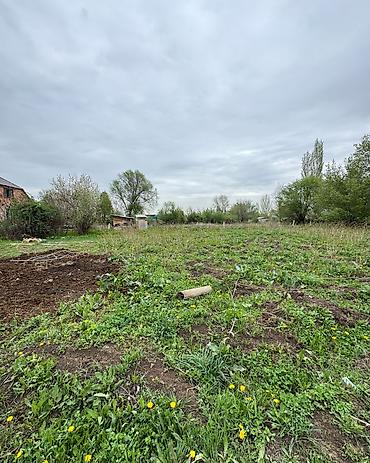 archa group: 4 соток, Для строительства, Красная книга, Договор купли-продажи — 3