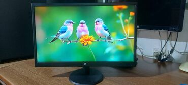 Monitori: V7 L215DS-2E - LED monitor - Full HD (1080p) - 21.5"-perfektan — 2