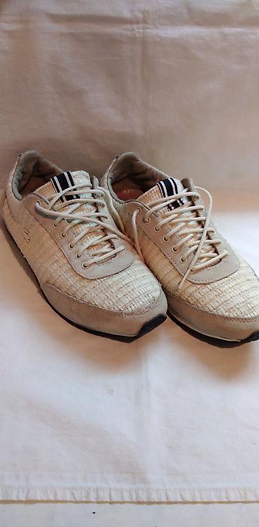 tn 3 gray: Patike zenske lacoste br.39, gaziste oko 26 cm. koza platno,polovne — 1