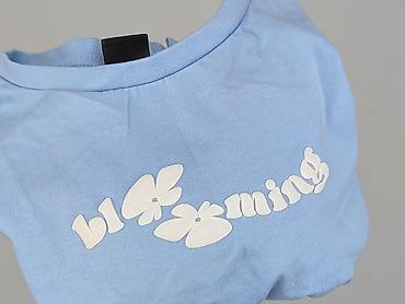 crop top coca cola: 4F, T-shirt damski, rozmiar XS — 6