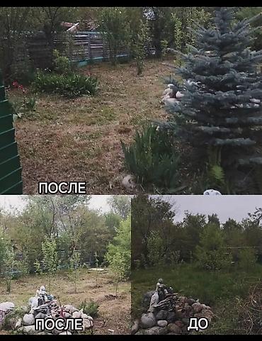 Уборка территории: Уборка территории, Уборка двора и сада — 7