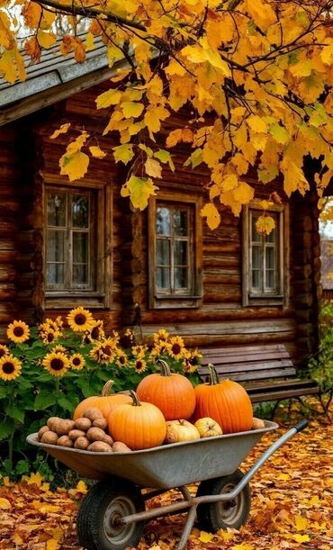 сдаётся гараж: 6 соток, Курулуш, Кызыл китеп