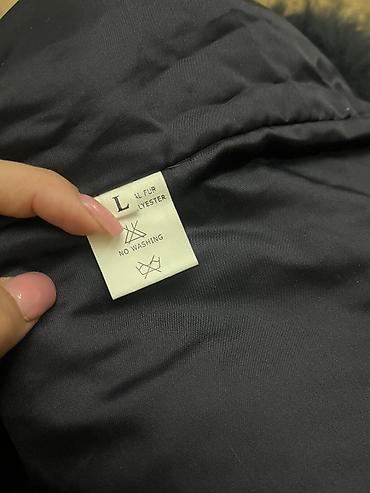 Шубы: Шуба, Лиса, Короткая модель, L — 9