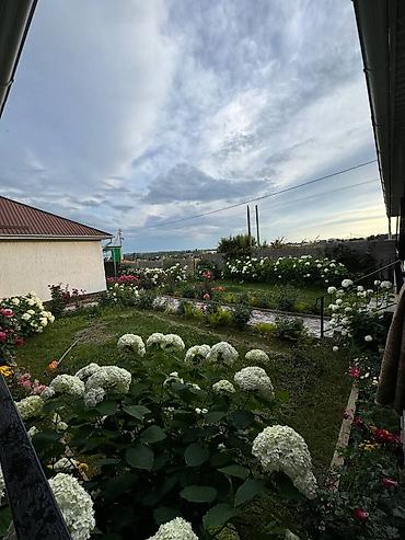 premium development: Хостел и койко-место на Иссык-Куле, Чолпон-Ата, Почасово, Есть: Уборка в номере — 2