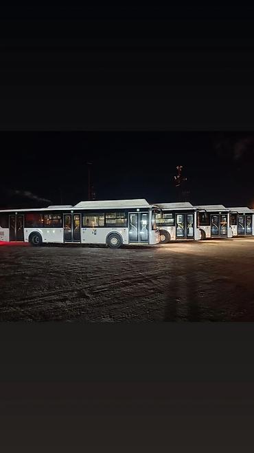 Водители автобуса, буса: Требуется Водитель автобуса, буса, Категория прав (D), 1-2 года опыта, Пятидневка, Старше 23 лет, Официальное трудоустройство — 5