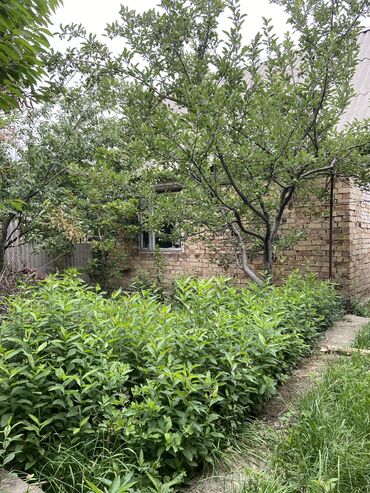 аламидин 1 квартира продажа: Дача, 15 м², 3 комнаты, Собственник