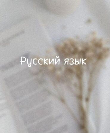 Языковые курсы: Языковые курсы Русский Для взрослых