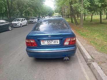 crv 2: Nissan Primera: 2000 г., Механика, Бензин, Седан — 1