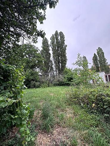 Продажа участков: 12 соток, Красная книга, Тех паспорт, Договор купли-продажи — 6