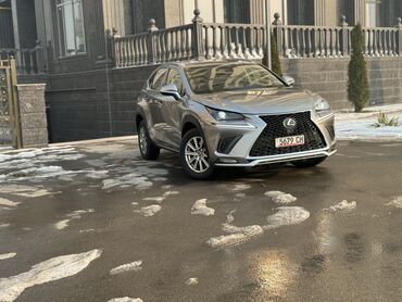 Lexus: Lexus NX: 2020 г., 2 л, Вариатор, Бензин, Кроссовер