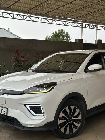 кузов сатылат: Weltmeister EX5, 2020 г., 55000 км, Бар