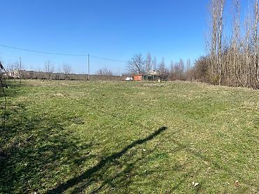 Torpaq sahələrinin satışı: Kənd təsərrüfatı — 2