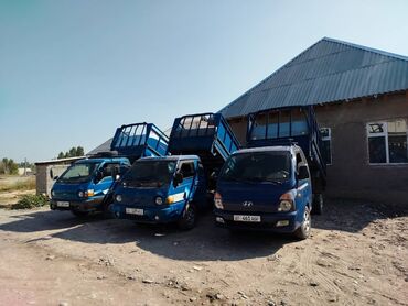 трава для животных: Вывоз мусора вывоз мусора вывоз мусора вывоз мусора вывоз мусора