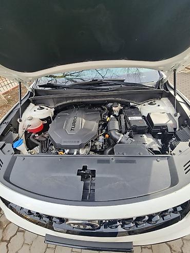 Kia: Kia Sorento: 2021 г. at lalafo.kg — 6 Kia: Kia Sorento: 2021 г. — 6