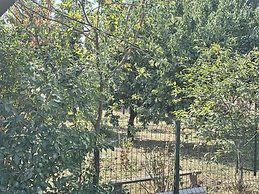 Продажа коттеджей и домов: 🔥 Дом с бизнесом | ПВЗ Wildberries | Угловой 🏡 Продаётся одноэтажный — 12