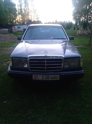 мерс лиса: Mercedes-Benz 230: 1991 г., 2.3 л, Механика, Бензин, Седан