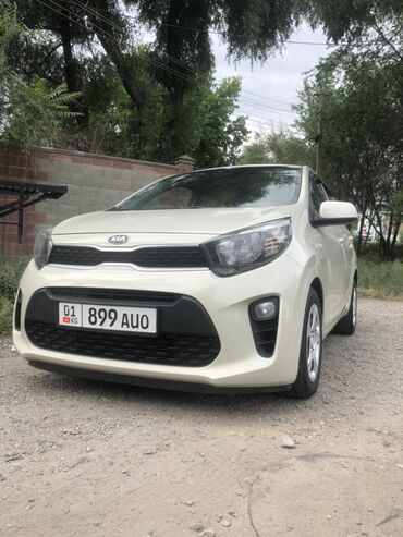 прирора машина: Kia Morning: 2017 г., 1 л, Автомат, Бензин, Хэтчбэк