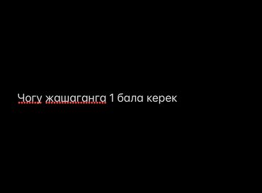 аренда квартира жал: 2 бөлмө, Менчик ээси, Чогуу жашоо менен, Толугу менен эмереги бар