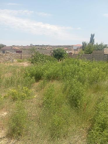 nardaranda torpaq: 13 sot, Tikinti, Mülkiyyətçi, Kupça (Çıxarış) — 5