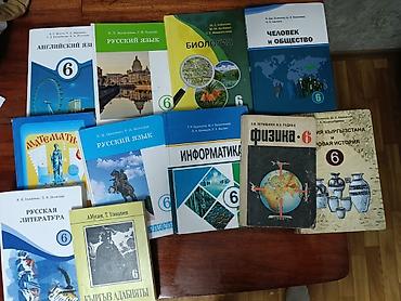 Другие комплектующие: ШКОЛЬНЫЕ УЧЕБНИКИ комплект разных предметов и классов — 3