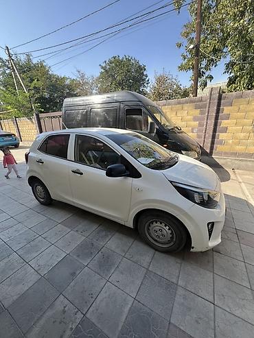 фиат пунто: Kia Picanto: 2019 г., Механика, Бензин, Хэтчбэк — 4