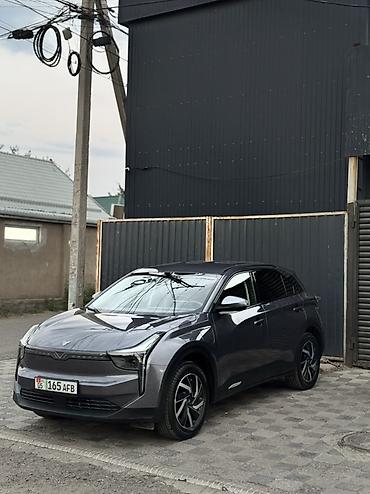 Hozon Neta U: 2022 г., 0.1 л, Автомат, Электромобиль, Кроссовер
