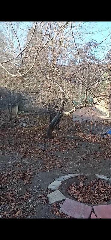 satiliq obyekt: Kənd təsərrüfatı, Makler, Kupça (Çıxarış) — 4