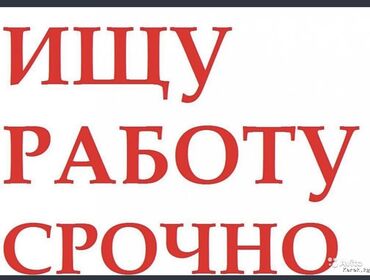 швея на дому ош: Сатуучу консультант, Тажрыйбасыз, Студент