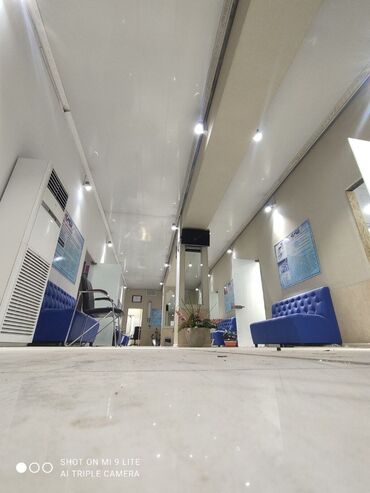 фикус али: Керме шыптар Жылтырабаган, 3D потолоктор, Жылтырак Акысыз консультация, Демонтаждоо, Акысыз ченөө