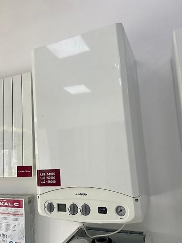 Газовые котлы: Газовый котёл Тип управления: Автоматический — 9