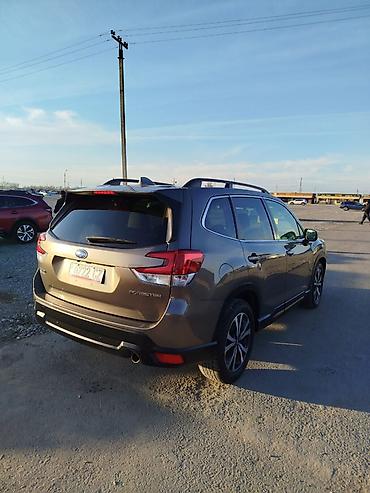 Subaru: Subaru Forester: 2020 г., 2.5 л, Вариатор, Бензин, Кроссовер — 6