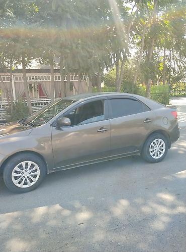 купе 124: Kia Cerato: 2012 г., 1.6 л, Механика, Бензин, Седан — 4