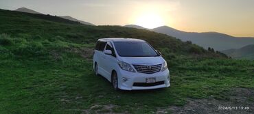 тайотта алтезза: Toyota Alphard: 0.3 л, Автомат, Газ, Минивэн