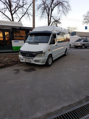 Трансфер, пассажирские перевозки: По региону, Аэропорт, По городу Бус | 18 мест