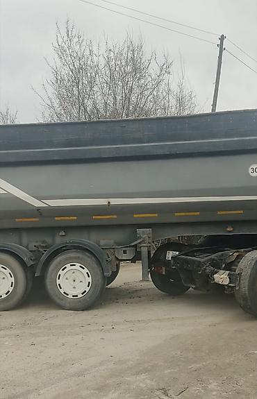 Тягачи: Тягач, MAN, 2006 г., Самосвал — 2