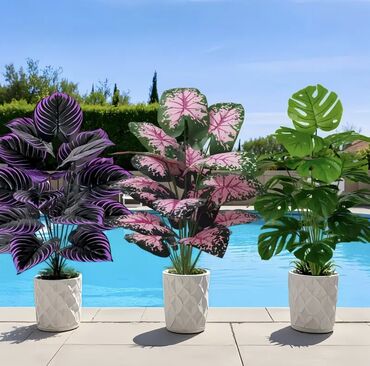 Süni güllər: 🌸 İstədiyiniz dibçəyi, istədiyiniz ölçüdə yığırıq! 🏡 Evlər, ofislər -da lalafo.az — 22 Süni güllər: 🌸 İstədiyiniz dibçəyi, istədiyiniz ölçüdə yığırıq! 🏡 Evlər, ofislər — 22