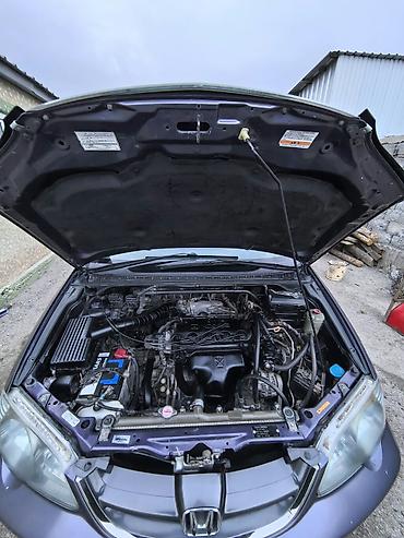одиссей 2: Honda Odyssey: 2003 г., 2.3 л, Автомат, Бензин, Минивэн — 6