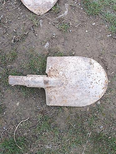 Лопаты: Лопата, Совковая, Оптом — 4