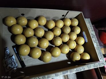 Бильярдные столы: Продаю бильярдный стол размер 3.25*1.95(не китайский,не мрамор)дерево — 13