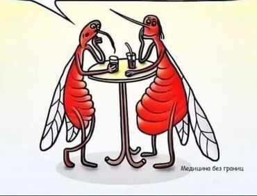 Pəncərələrin təmiri: Xidmət: Plastik pəncərə və qapı təmiri Təklif olunan işlər: - PVC — 12