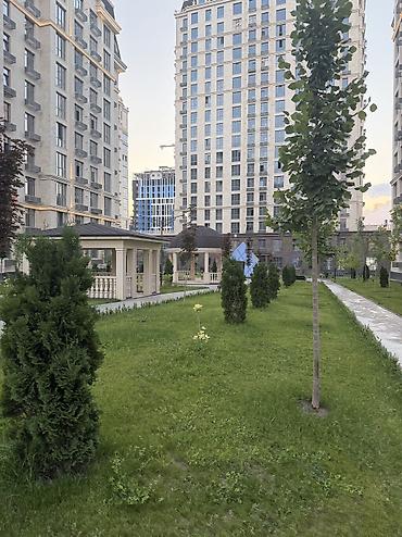Долгосрочная аренда квартир: Сдается 2- комн студия ЖК Елисейские поля ул . Куттубаева 19 Мкр — 5